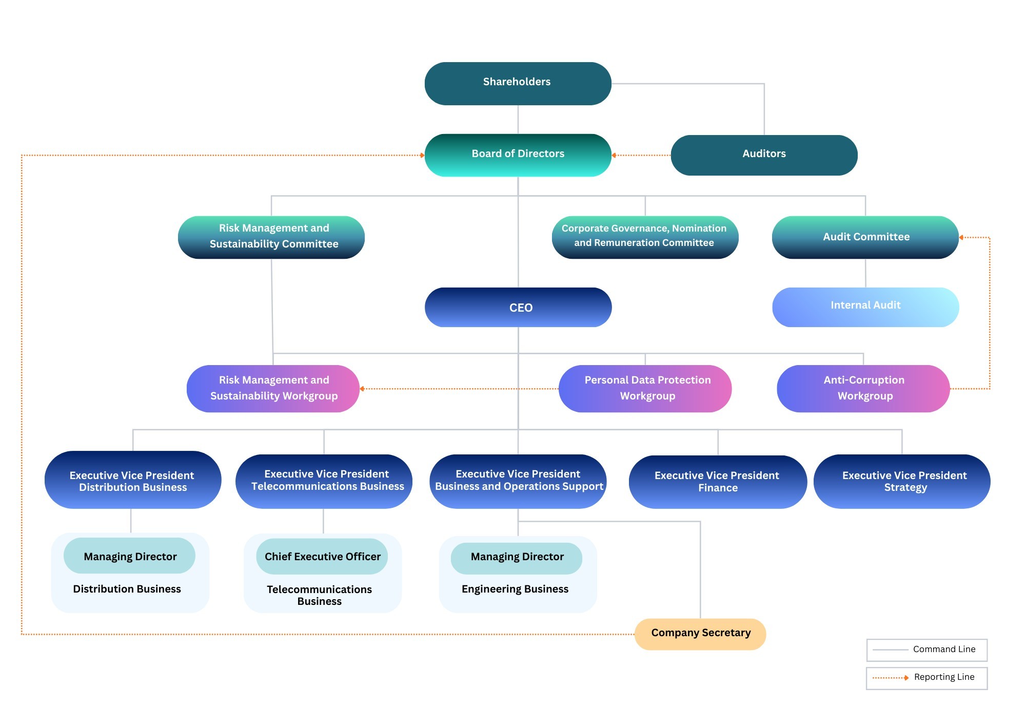 Sustainability Governance Structure - showing governance hierarchy from shareholders, Board of Directors, various committees to operational level
